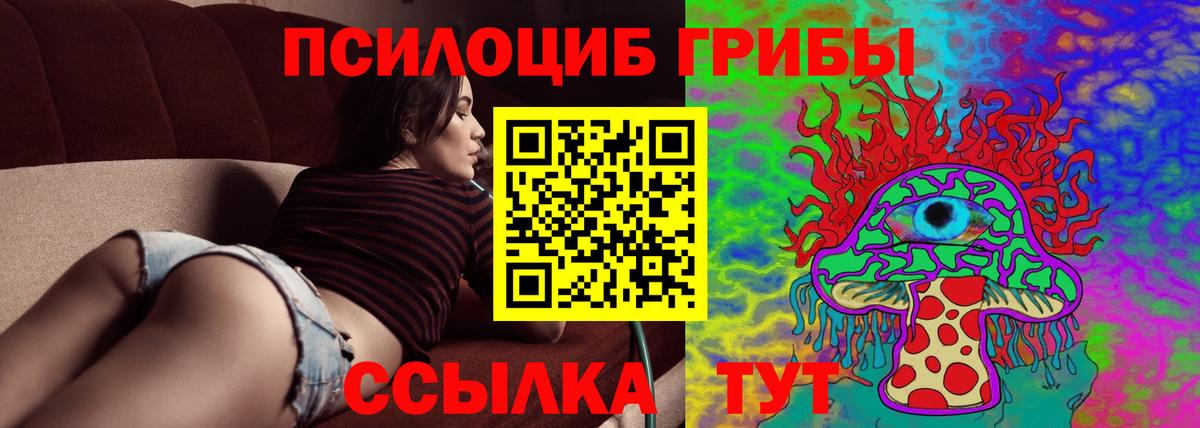 Татарск  где продают наркотики  Галлюциногенные грибы Magic Shrooms  Вход с VPN  Псилоцибиновые грибы Psilocybe 